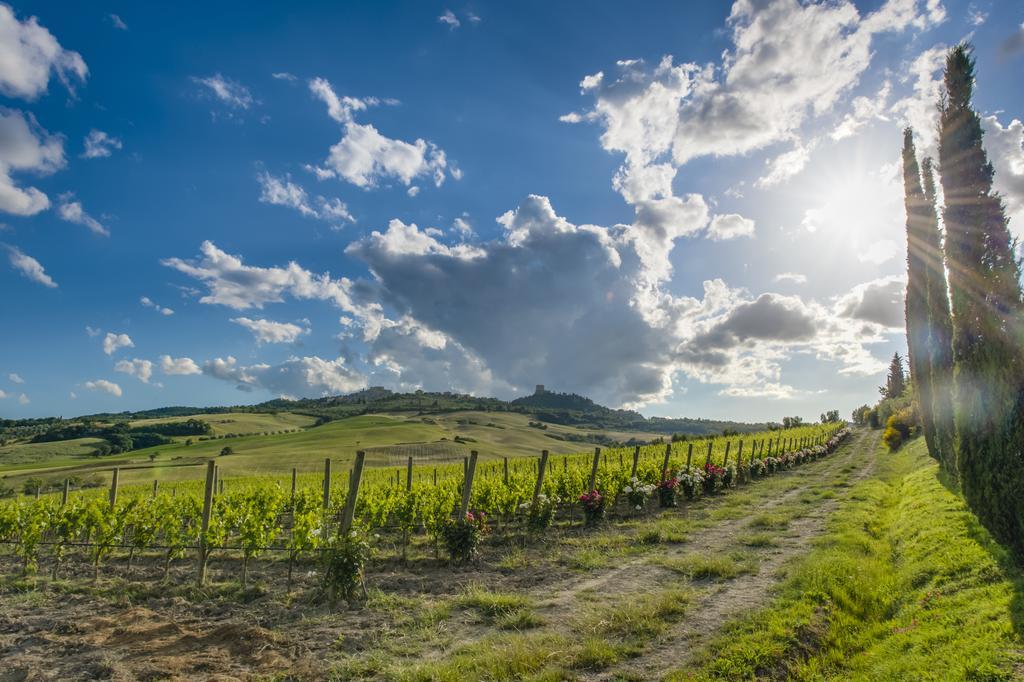 Agriturismo Poggio Istiano Bagno Vignoni Εξωτερικό φωτογραφία