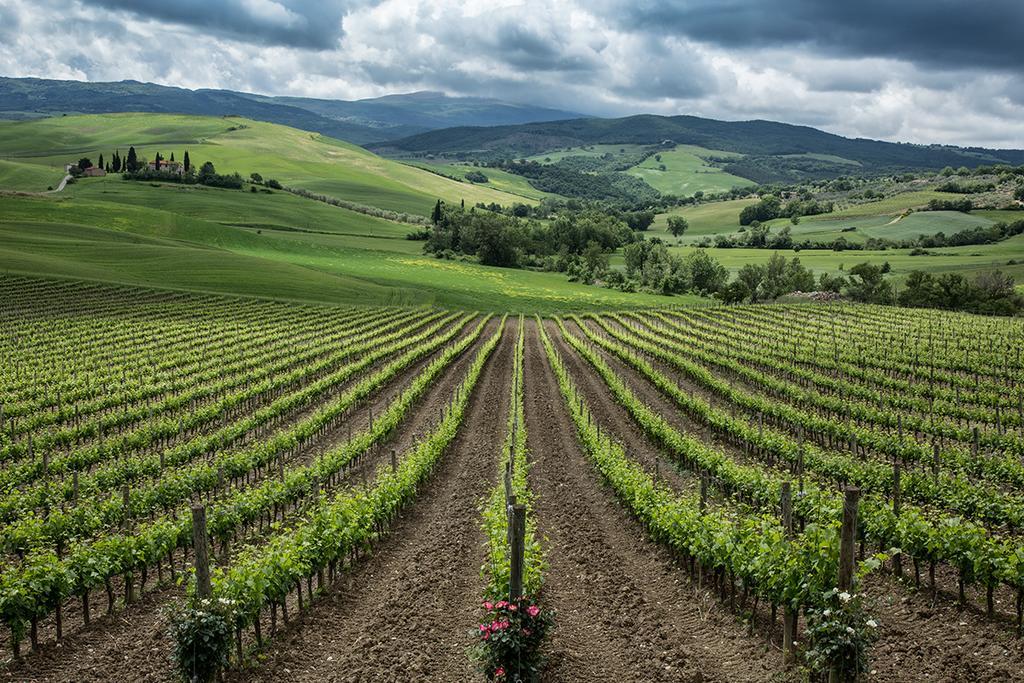Agriturismo Poggio Istiano Bagno Vignoni Εξωτερικό φωτογραφία